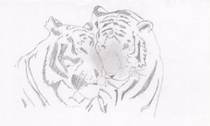 Voir le détail de cette oeuvre: Couple de tigres